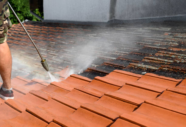 Best Affordable Pressure Washing  in Lely, FL