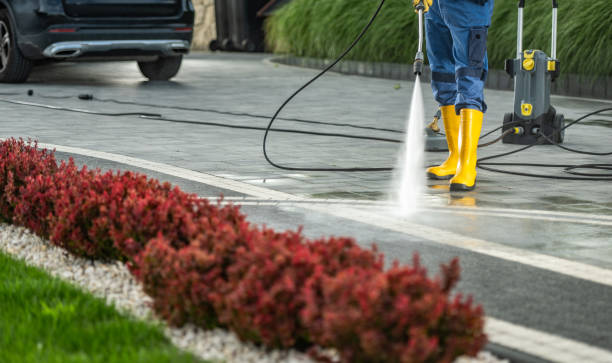 Best Pressure Washing Patio  in Lely, FL